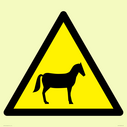 w506-warning-horses~